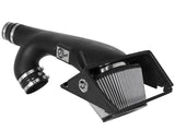 INTAKE PRO DRY 17-20 F150