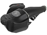 INTAKE PRO DRY 17-20 F150 & RAPTOR 3.5L