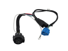 Load image into Gallery viewer, BER-TWA-RAM-CHASS_01.jpg