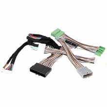 Load image into Gallery viewer, BYP-THNIN6_01.jpg