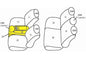 CLZ-7224-GR_01.jpg
