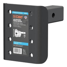 Load image into Gallery viewer, CUR-48343_01.jpg