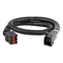 Load image into Gallery viewer, CUR-51323_01.jpg