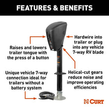 Load image into Gallery viewer, CUR-813748_02.jpg