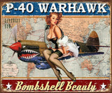 TIN SIGN P-40 WARHAWK