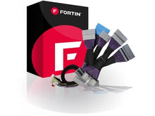 Load image into Gallery viewer, FOR-THARONE-HON7_01.jpg