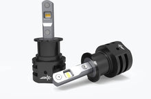 Load image into Gallery viewer, GOP-98031_01.jpg