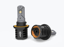 Load image into Gallery viewer, GOP-98131_01.jpg