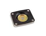 DIAPHRAM
