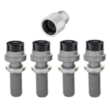 Load image into Gallery viewer, MCG-28332_01.jpg