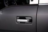 DOOR HANDLE INSERT 15-20 F150/17-22 S/DUTY REG/EXT