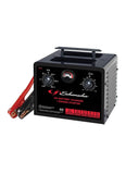 250A 6V/12V TMER-CONTROLLED BATTERY CHARGER