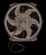 Load image into Gallery viewer, TCI-827350_01.jpg